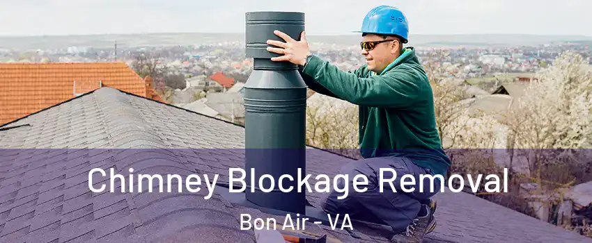  Chimney Blockage Removal Bon Air - VA