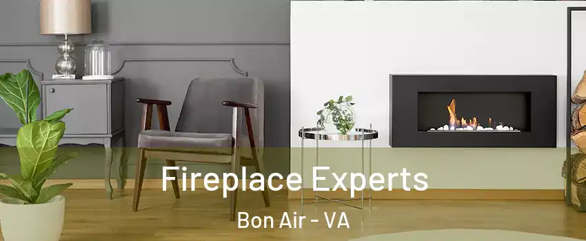  Fireplace Experts Bon Air - VA